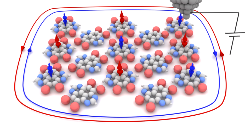  The topological qubit.