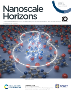 Nanohorizon
